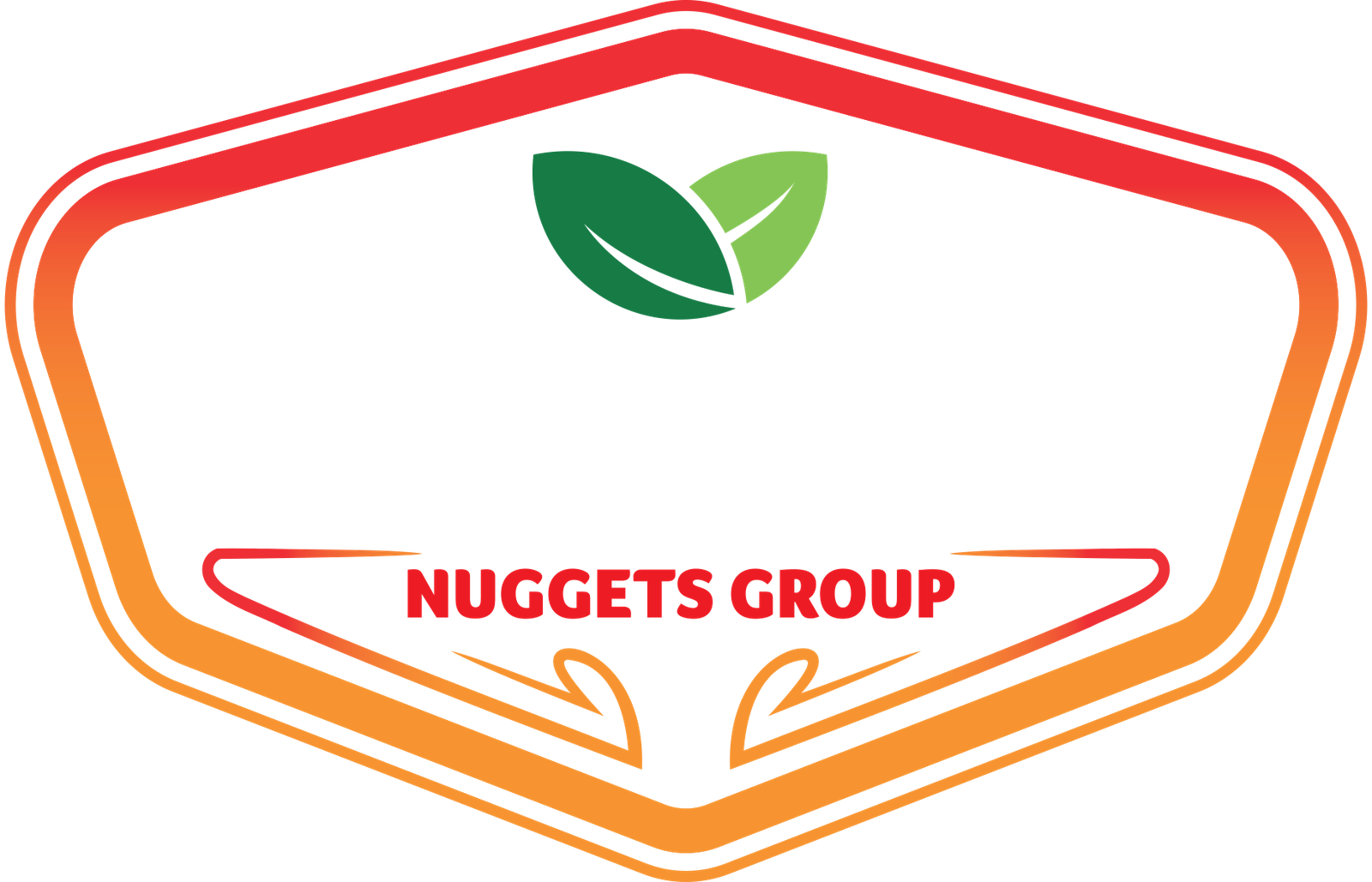 Areena nuggets group